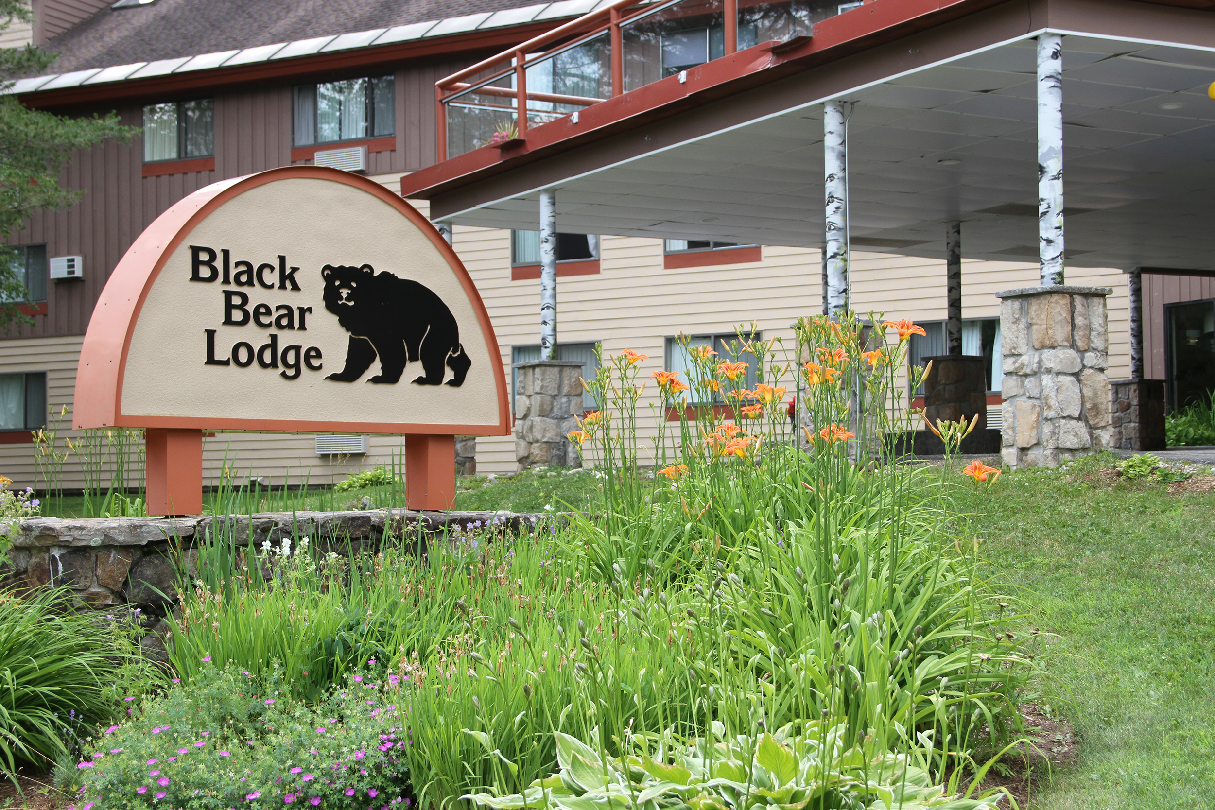 Black bear lodge waterville valley nh